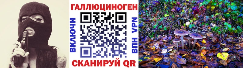 Псилоцибиновые грибы Magic Shrooms  shop какой сайт  Николаевск  как найти  